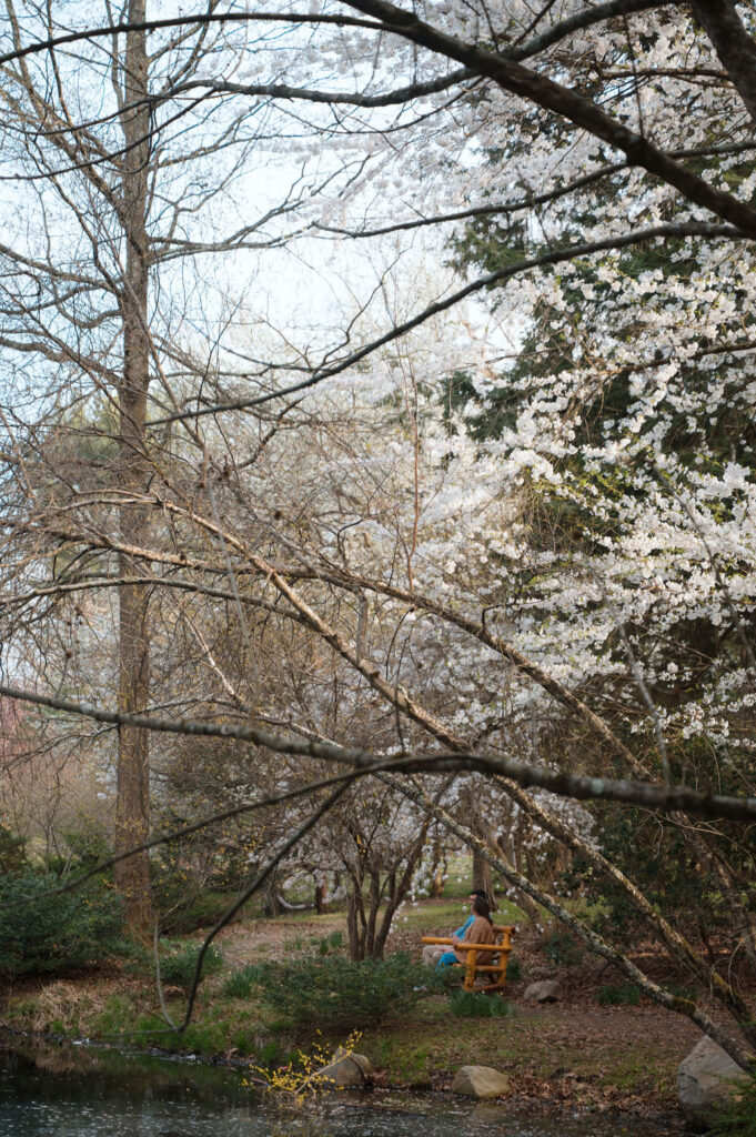 laurelwood arboretum engagement photos