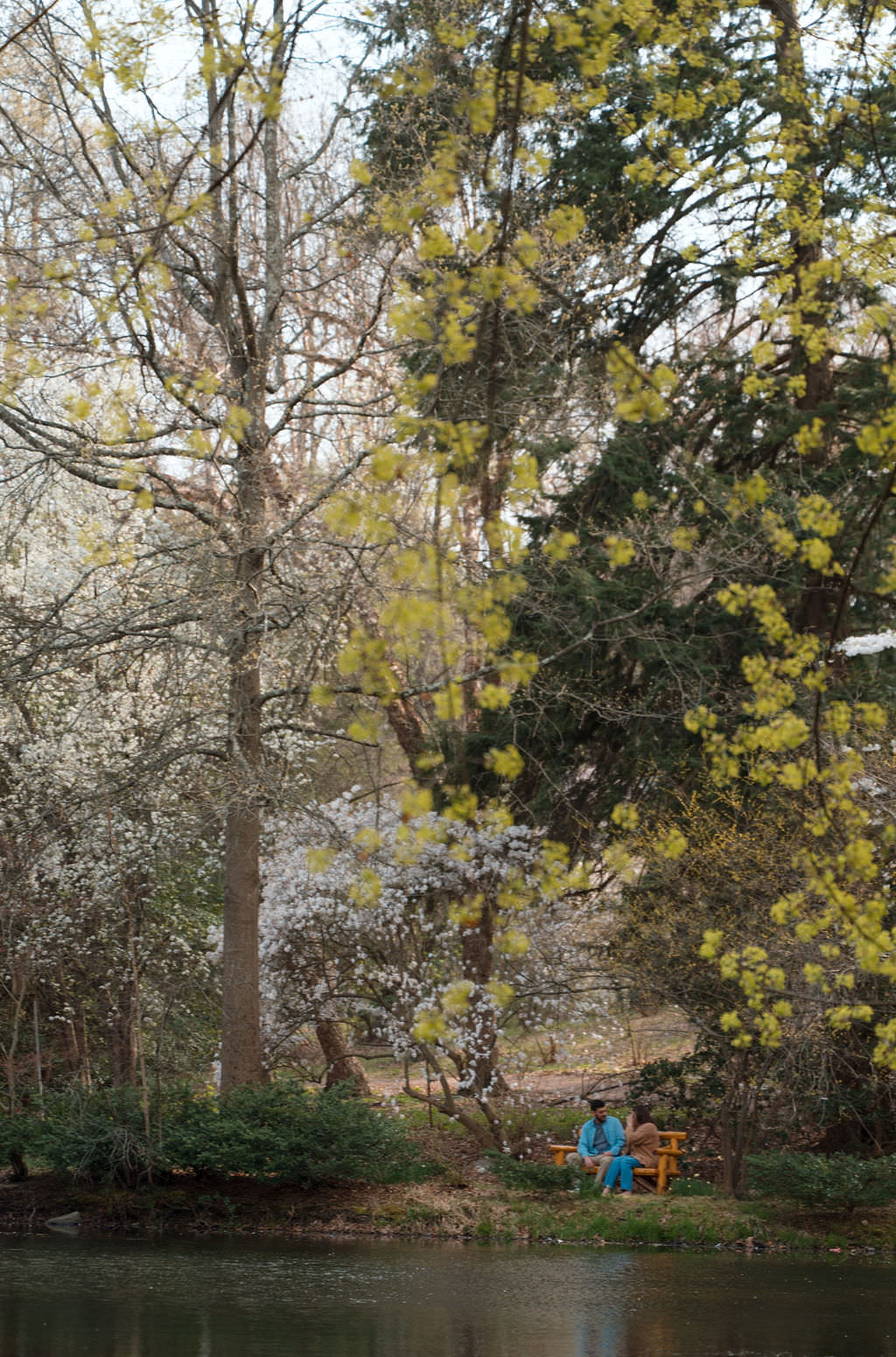 laurelwood arboretum engagement photos