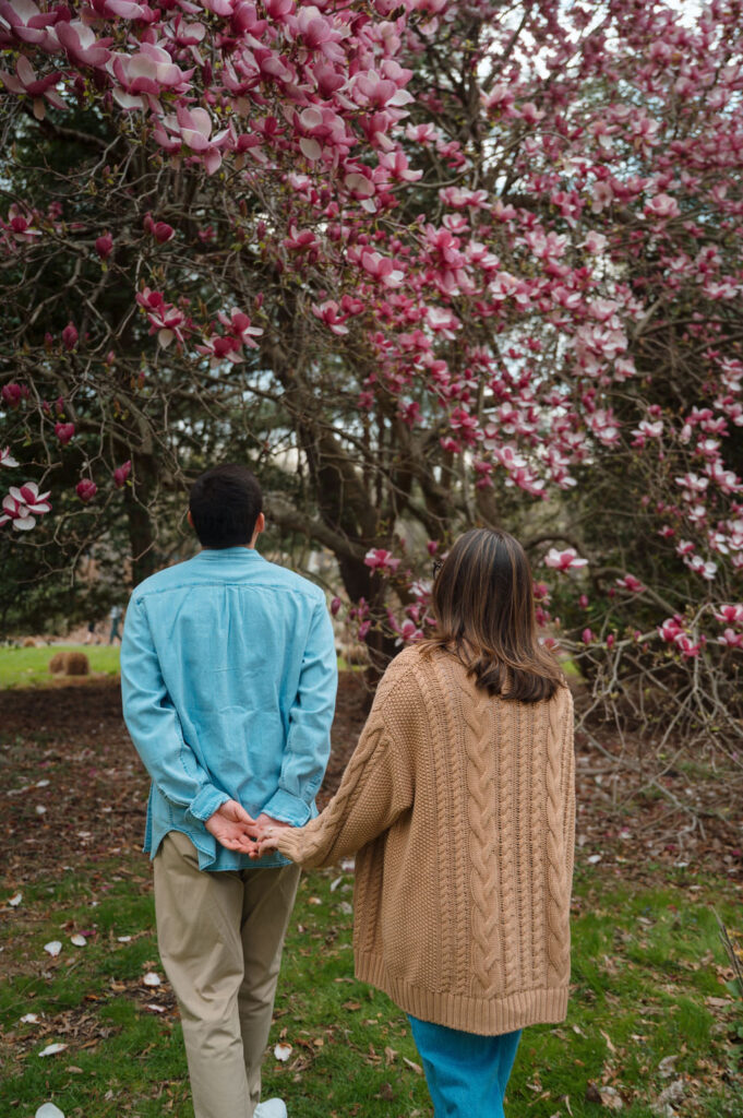 laurelwood arboretum engagement photos