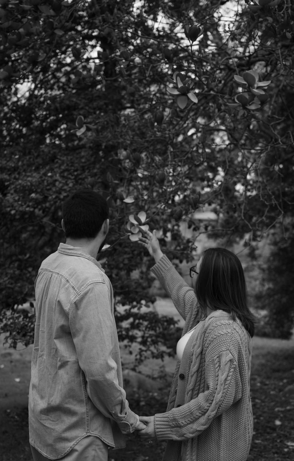 laurelwood arboretum engagement photos
