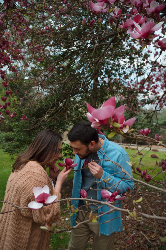 laurelwood arboretum engagement photos