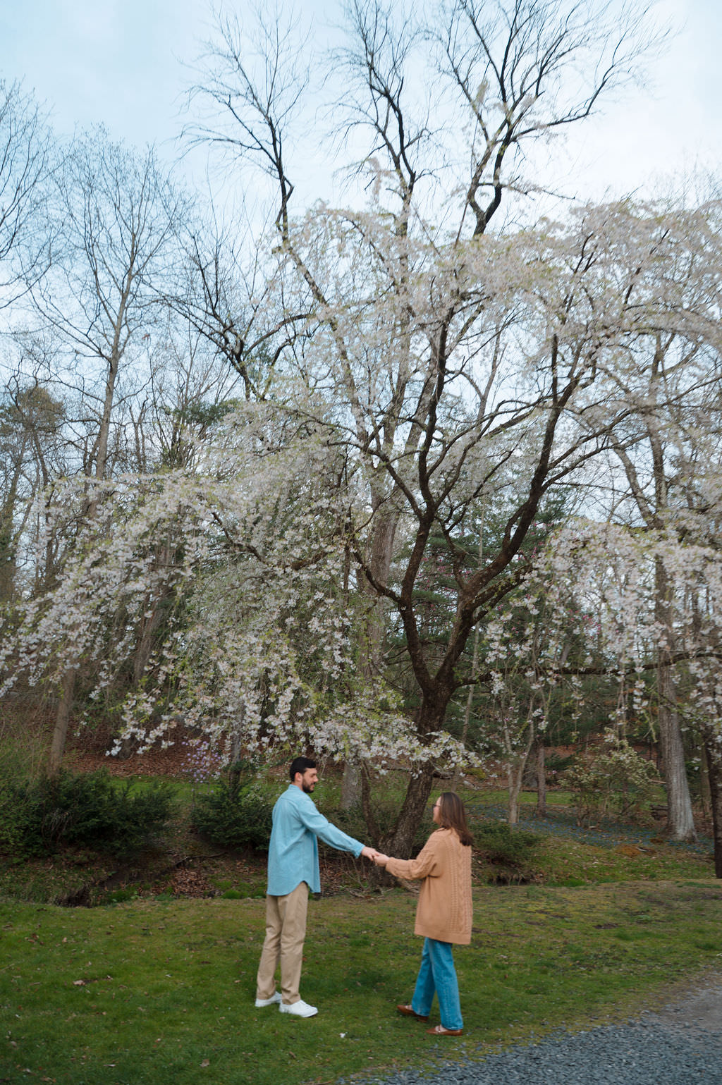 laurelwood arboretum engagement photos